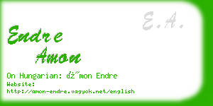 endre amon business card